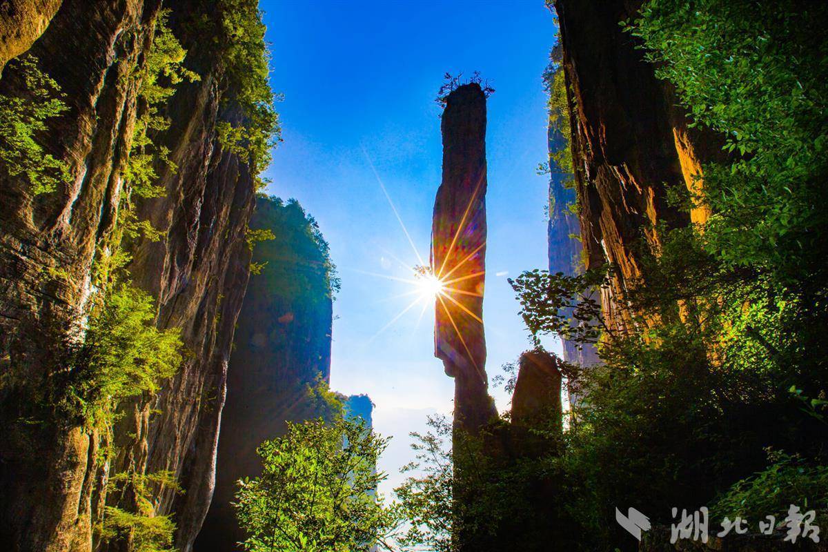 广东麻将推倒胡游戏